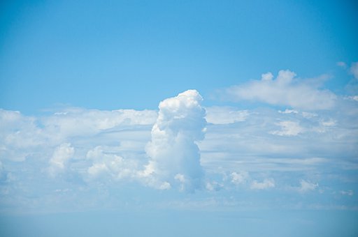 55996