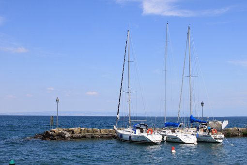 306347
