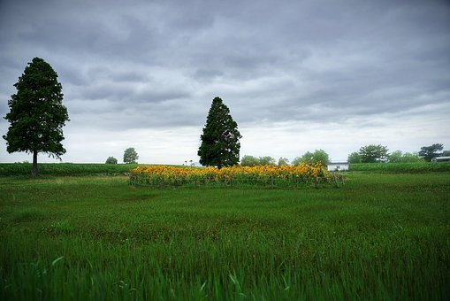 289425