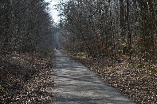 283974