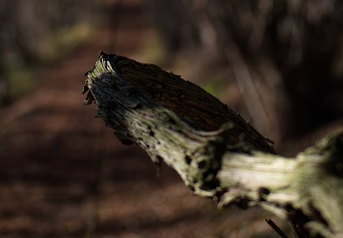 347535