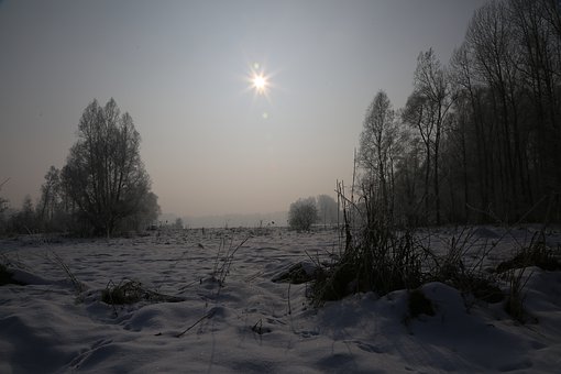 276488