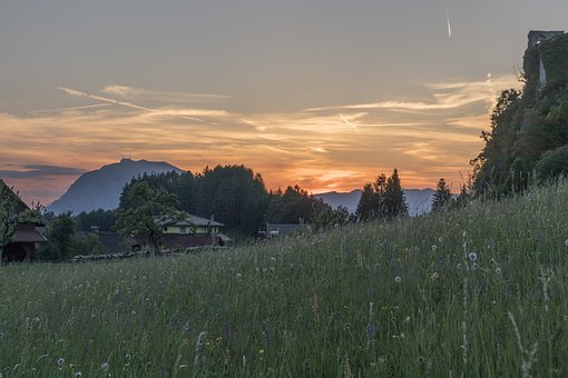 76029