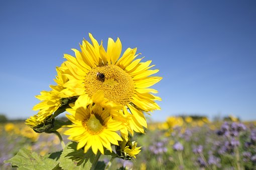 124533