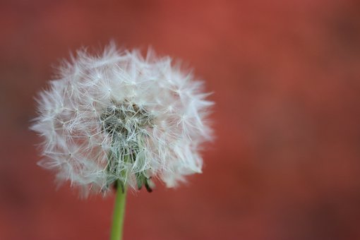 67327