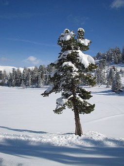 275755