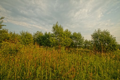 236513