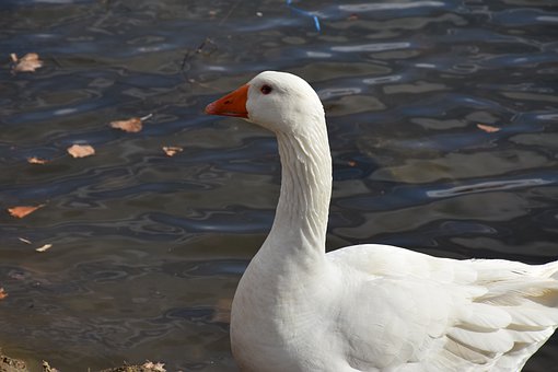 174658