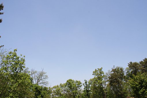 176725