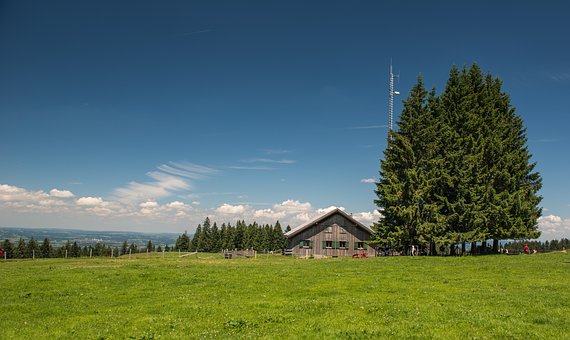 330391