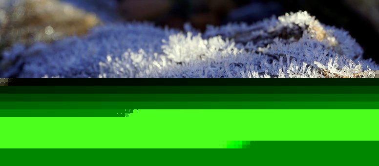 129701