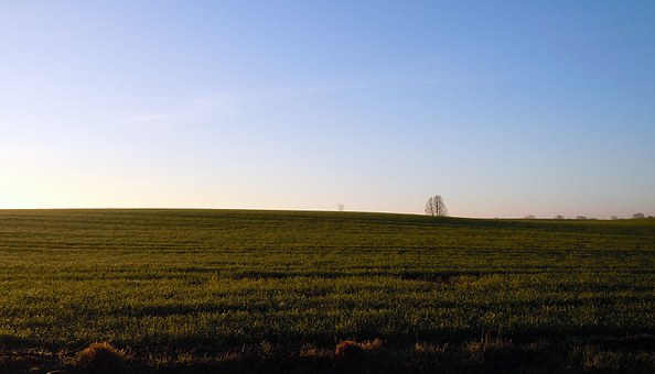 175757