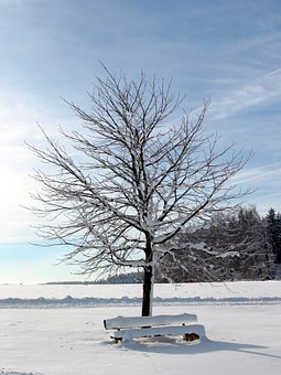 335330