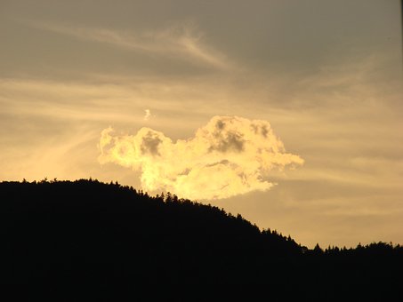 127027