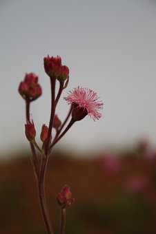 57749