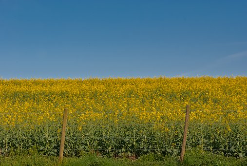 38252