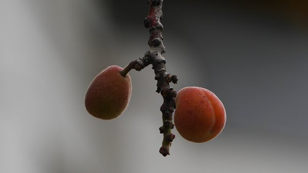 274942