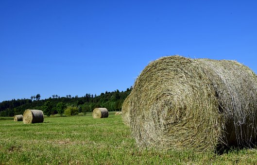 322417
