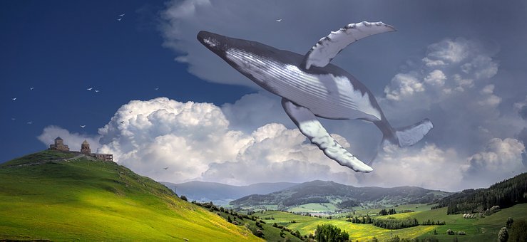 80896