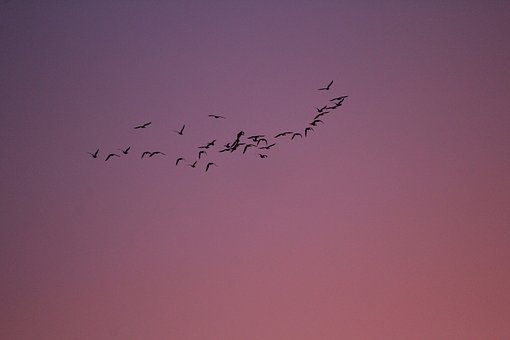 220101