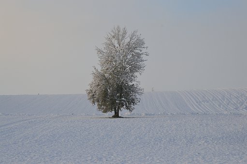 236004