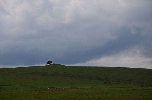 263766