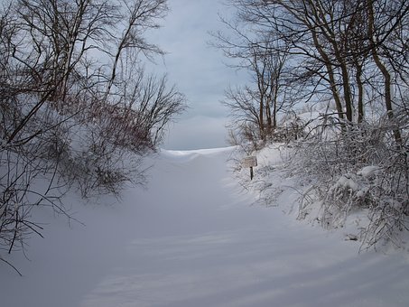 265231