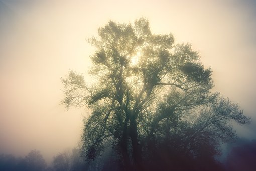 131917