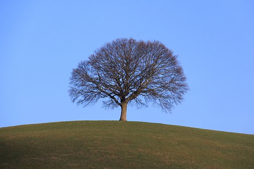 295626