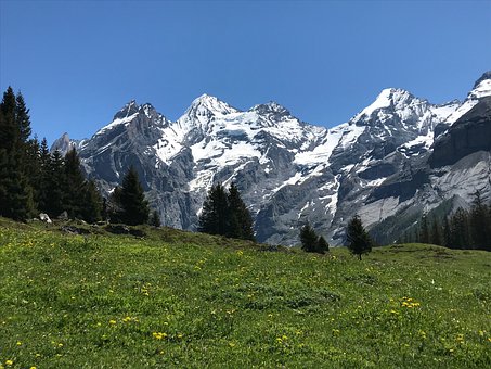 338426
