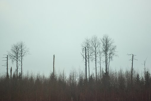101198