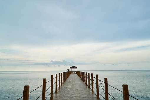 116772