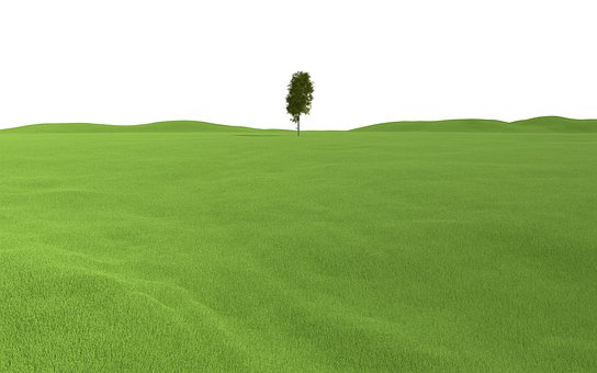 24855