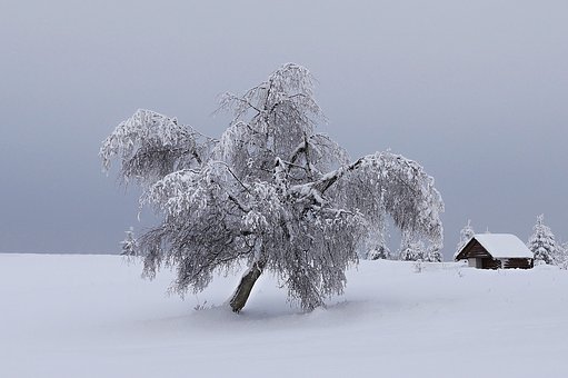 2711