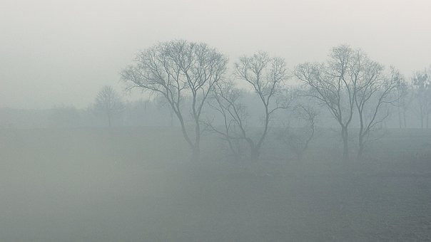 198026