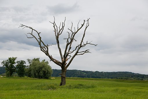 338636