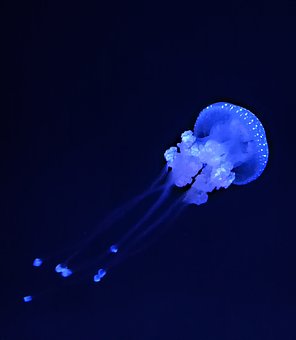 279836