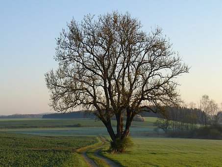 93587