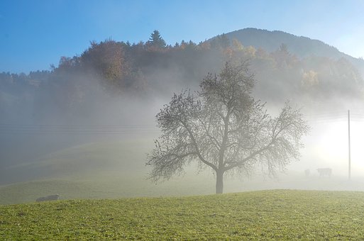 288533