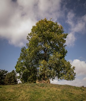 163517