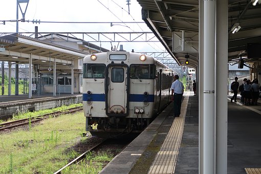 55458