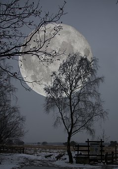 8734