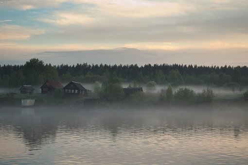 54541