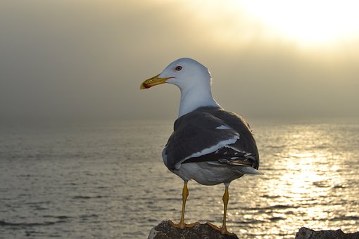 82452