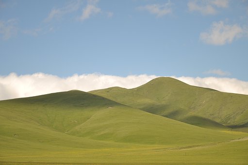 325219