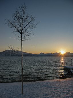59257