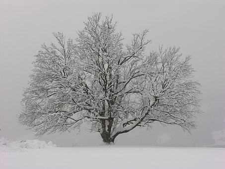44335