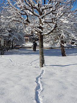 187019