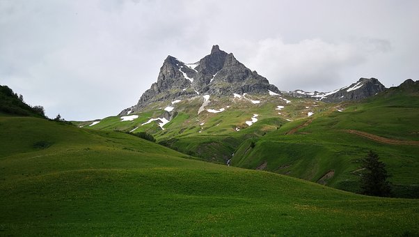 60355