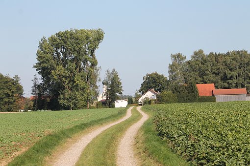 336770